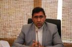 مدیر‌عامل سازمان سیما، منظر و فضای سبز، خبر داد:استفاده از شیوه‌های نوین علمی برای تغذیه مناسب گیاهی