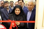 شعبه جلفای اتاق بازرگانی تبریز افتتاح شد