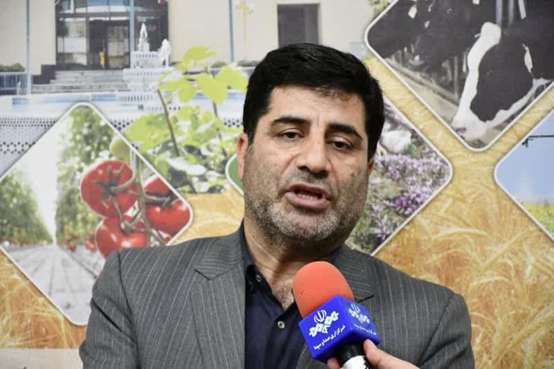 پوشش۵۰۰ هزار هکتار از اراضی دیم آذربایجان شرقی در طرح جهش تولید