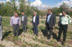 سفر رییس سازمان منابع طبیعی و آبخیزداری کشور به تبریز