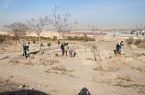 در راستای کیفی سازی وضعیت فضای سبز شهری تبریز، در حال انجام است: تداوم اجرای عملیات انبوهکاری در حاشیه‌های مسیر اتوبان شهید کسایی