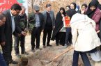 دانش‌آموزان دختر تبریزی به یاد زنان و کودکان غزه، نهال کاشتند