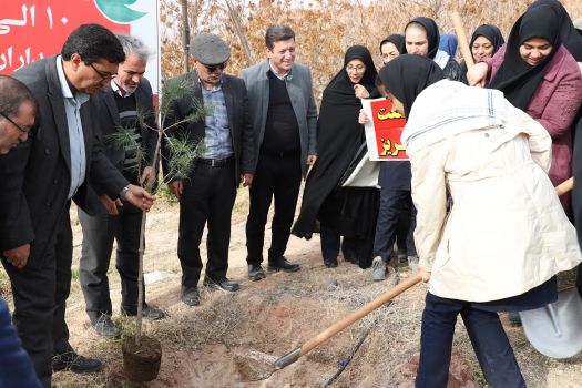 دانشآموزان دختر تبریزی به یاد زنان و کودکان غزه، نهال کاشتند