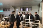 بازدید مدیر کل دامپزشکی استان آذربایجان شرقی از مجموعه آذربایجان خاوری
