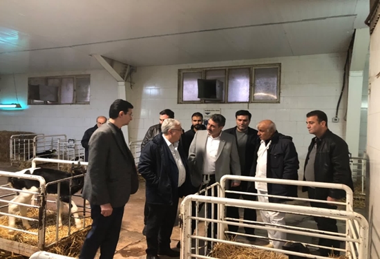 بازدید مدیر کل دامپزشکی استان آذربایجان شرقی از مجموعه آذربایجان خاوری