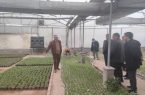 آغاز اجرای طرح جامع ارزیابی عملکرد حوزه سیما، منظر و فضای سبز