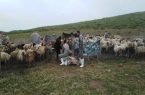 برگزاری اردوی جهادی در مناطق عشایری شهرستان هریس برگزاری اردوی جهادی در مناطق عشایری شهرستان هریس