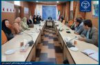 تولد ۱۷۰۰ نوزاد در سایه تلاش متخصصان مرکز درمان ناباروری جهاددانشگاهی آذربایجان شرقی تولد ۱۷۰۰ نوزاد در سایه تلاش متخصصان مرکز درمان ناباروری جهاددانشگاهی آذربایجان شرقی