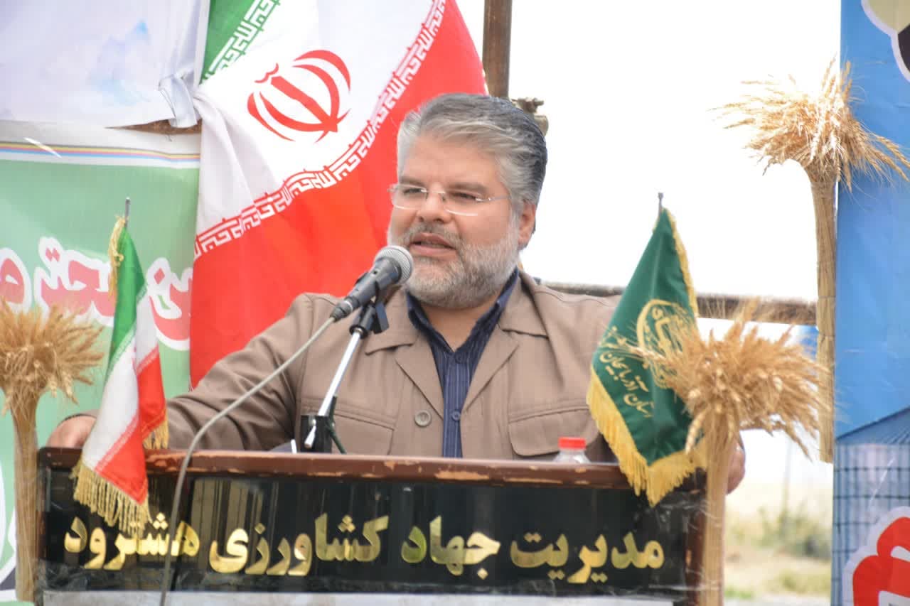 تولید یک چهارم گندم آذربایجان شرقی در هشترود و چاراویماق