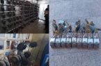 کشف و ضبط ۱۱۶ دستگاه استخراج غیرمجاز رمز ارز در آذربایجان شرقی در فروردین ماه ۱۴۰۴ کشف و ضبط ۱۱۶ دستگاه استخراج غیرمجاز رمز ارز در آذربایجان شرقی در فروردین ماه ۱۴۰۴