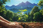 تولید ۱.۹ میلیون اصله نهال در آذربایجانشرقی