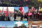 حس ارادت، حزن، شکوه و همبستگی