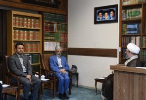 رئیس فرهنگستان زبان و ادب فارسی وارد تبریز شد
